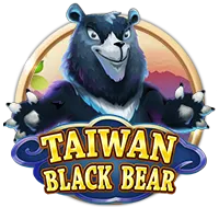 Taiwan Black Bear